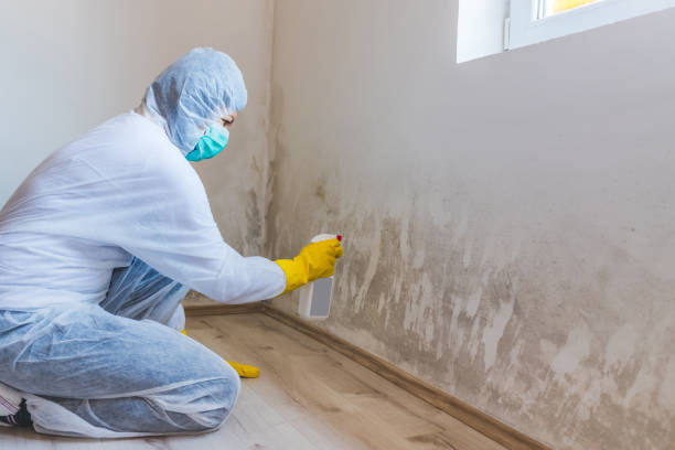 Crawl Space Mold Remediation treatment of floor joists in Urbanna