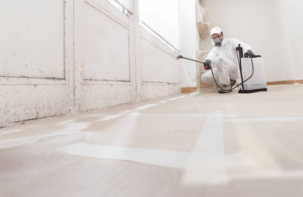 Black mold remediation team in Urbanna